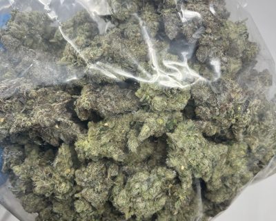 SLAPZ (EXOTIC) - Image 6